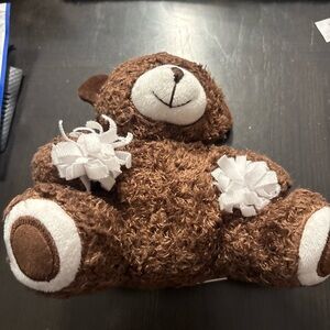 Jenkins Enterprises Brown Plush Bear